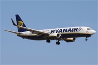 Alfonso Sols - Asociacin Canary Islands Spotting. Click to see full size photo