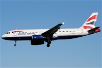 Rubn C.. Click to see full size photo