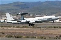 Bartolom Fernndez - Gran Canaria Spotters. Click to see full size photo