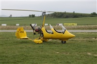Alfonso Sols - Asociacin Canary Islands Spotting. Click to see full size photo