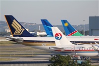 Rodrigo Carvalho - Noisy Spotters. Click to see full size photo
