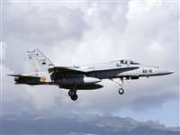 Paco Muoz Arencibia - Gran Canaria Spotters. Click to see full size photo