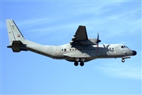 H.volar. Click to see full size photo