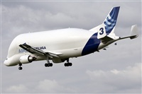 ©Ramón Minguet Dominguez Spotters Barcelona-El Prat. Click to see full size photo ©Ramón Minguet Dominguez Spotters Barcelona-El Prat. Click to see full size photo