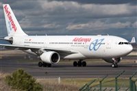 Miguel Alia - Noisy Spotters. Click to see full size photo