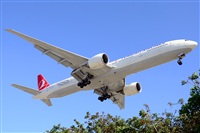 Ana L@dy Spotter. Click to see full size photo