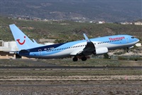 ©Alfonso Solís - Asociación Canary Islands Spotting. Click to see full size photo ©Alfonso Solís - Asociación Canary Islands Spotting. Click to see full size photo
