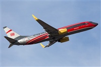 Miguel Alia - Noisy Spotters. Click to see full size photo