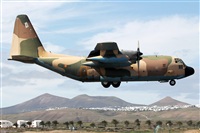 Adrin Alonso Lemes - Lanzarote Spotters. Haz click para ampliar