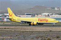 Miguel A. gueda Rguez.  (CANARY ISLANDS SPOTTING). Haz click para ampliar