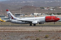 Alfonso Sols - Asociacin Canary Islands Spotting. Click to see full size photo