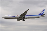 Miguel A. gueda Rguez.  (CANARY ISLANDS SPOTTING). Click to see full size photo