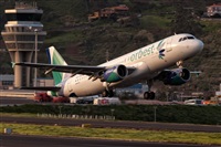 Javier de la Cruz - CANARY ISLANDS SPOTTING. Haz click para ampliar