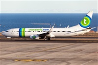 Javier de la Cruz - CANARY ISLANDS SPOTTING. Click to see full size photo