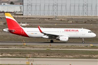 ©Alfonso Solís - Asociación Canary Islands Spotting. Click to see full size photo ©Alfonso Solís - Asociación Canary Islands Spotting. Click to see full size photo