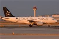 Miguel A. gueda Rguez.  (CANARY ISLANDS SPOTTING). Haz click para ampliar