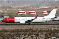 ©Alfonso Solís - Asociación Canary Islands Spotting. Click to see full size photo ©Alfonso Solís - Asociación Canary Islands Spotting. Click to see full size photo