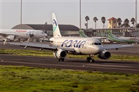 Javier de la Cruz - CANARY ISLANDS SPOTTING. Click to see full-size photo