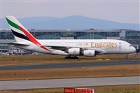 Miguel A. gueda Rguez.  (CANARY ISLANDS SPOTTING). Click to see full size photo