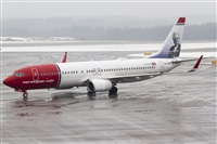 Rubn Gil - Noisy Spotters. Click to see full size photo