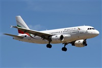 Alfonso Sols - Asociacin Canary Islands Spotting. Haz click para ampliar