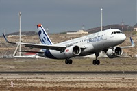 Alfonso Sols - Asociacin Canary Islands Spotting. Click to see full size photo