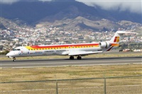 Nacho Rodriguez - Canary Islands Spotting. Click to see full size photo