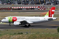 ©Alfonso Solís - Asociación Canary Islands Spotting. Click to see full size photo ©Alfonso Solís - Asociación Canary Islands Spotting. Click to see full size photo