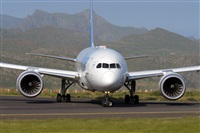 Miguel A. gueda Rguez.  (CANARY ISLANDS SPOTTING). Click to see full size photo