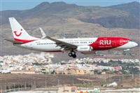 ©Adolfo Bento - Gran Canaria Spotters. Click to see full size photo ©Adolfo Bento - Gran Canaria Spotters. Click to see full size photo