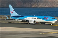 ©Adolfo Bento - Gran Canaria Spotters. Click to see full size photo ©Adolfo Bento - Gran Canaria Spotters. Click to see full size photo
