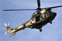 calco7. Click to see full size photo