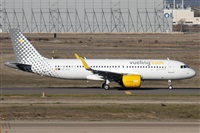 ©Alfonso Solís - Asociación Canary Islands Spotting. Click to see full size photo ©Alfonso Solís - Asociación Canary Islands Spotting. Click to see full size photo