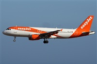 Alfonso Sols - Asociacin Canary Islands Spotting. Haz click para ampliar