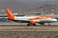 Alfonso Sols - Asociacin Canary Islands Spotting. Haz click para ampliar