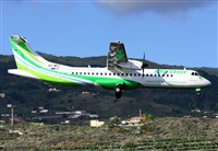 ©Luis Rguez - La Palma Spotting. Click to see full size photo ©Luis Rguez - La Palma Spotting. Click to see full size photo