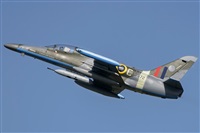 Tams. Click to see full size photo