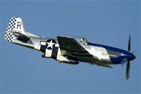 Tams. Click to see full size photo