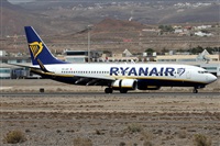 Alfonso Sols - Asociacin Canary Islands Spotting. Click to see full size photo