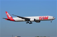Miguel A. gueda Rguez.  (CANARY ISLANDS SPOTTING). Click to see full size photo