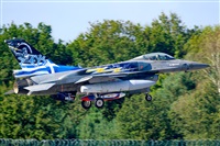 Tams. Click to see full size photo