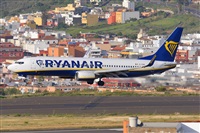 Miguel A. gueda Rguez.  (CANARY ISLANDS SPOTTING). Click to see full size photo