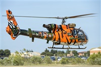 EC-ISM. Click to see full size photo