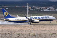 Miguel A. gueda Rguez.  (CANARY ISLANDS SPOTTING). Haz click para ampliar