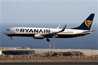 ©Alfonso Solís - Asociación Canary Islands Spotting. Click to see full size photo ©Alfonso Solís - Asociación Canary Islands Spotting. Click to see full size photo