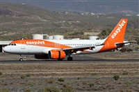 Alfonso Sols - Asociacin Canary Islands Spotting. Haz click para ampliar