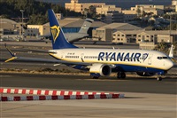 ©Adolfo Bento - Gran Canaria Spotters. Click to see full size photo ©Adolfo Bento - Gran Canaria Spotters. Click to see full size photo
