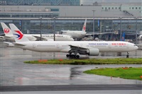 Miguel A. gueda Rguez.  (CANARY ISLANDS SPOTTING). Click to see full size photo