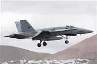 Adrin Alonso Lemes - Lanzarote Spotters. Click to see full size photo