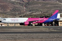 ©Alfonso Solís - Asociación Canary Islands Spotting. Click to see full size photo ©Alfonso Solís - Asociación Canary Islands Spotting. Click to see full size photo